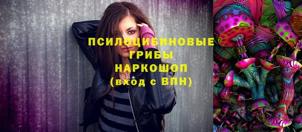 apvp Володарск