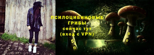 apvp Володарск