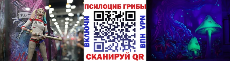 Купить  Крымск  Псилоцибиновые грибы GOLDEN TEACHER 